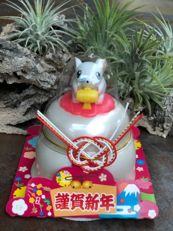 謹賀新年20200101