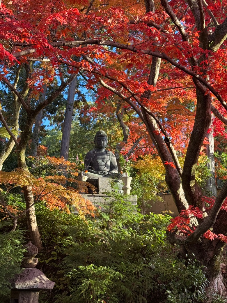 栄摂院／黒谷町