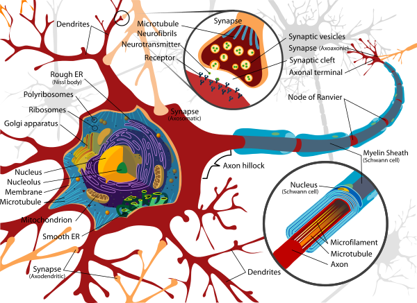 topics-fig